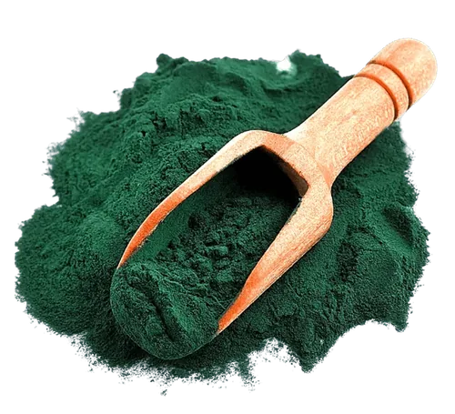 Spirulina em pó